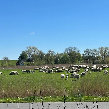 Ferienhaus Deichblick - Mit Schönem Ausblick Butjadingen