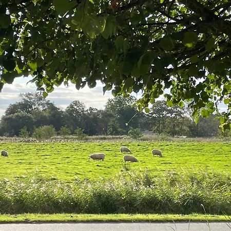 Deichblick - Mit Schönem Ausblick *